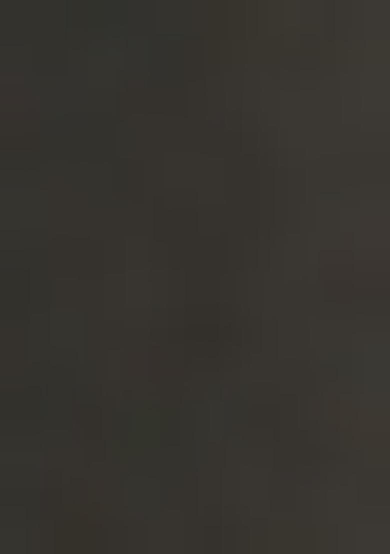 Grey Embroidered Poly Gerogette Lehenga Set - Indya