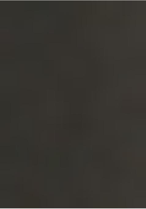 Grey Printed Gerogette Lehenga Set