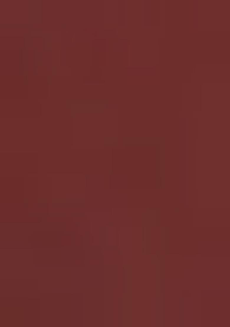 Brown Printed Gerogette Lehenga Set