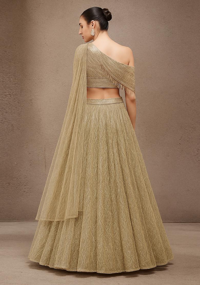 Golden Zari Work Net Lehenga Set - Indya