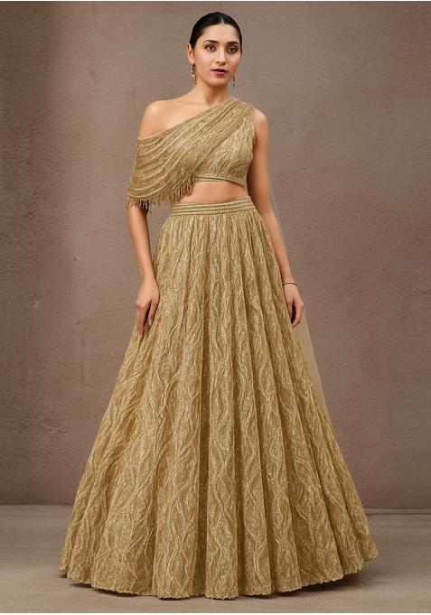 Golden Embroidered Net Lehenga Set