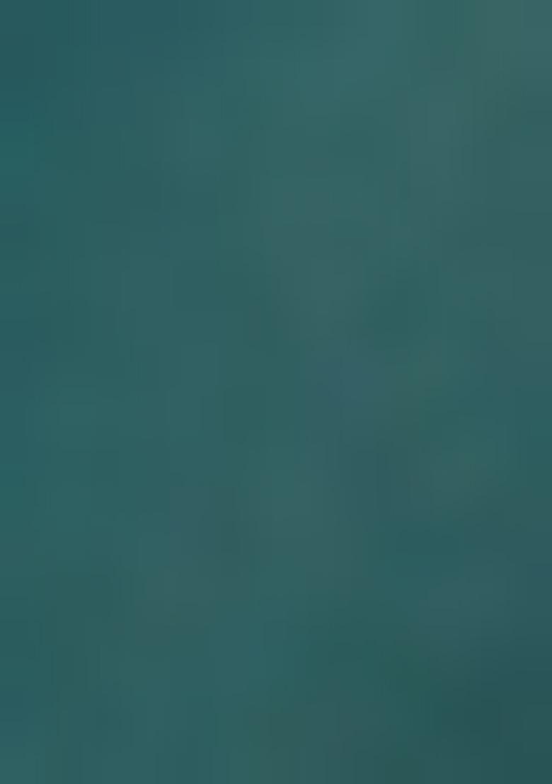 Turquoise Sequin Embroidered Organza Lehenga Set - Indya