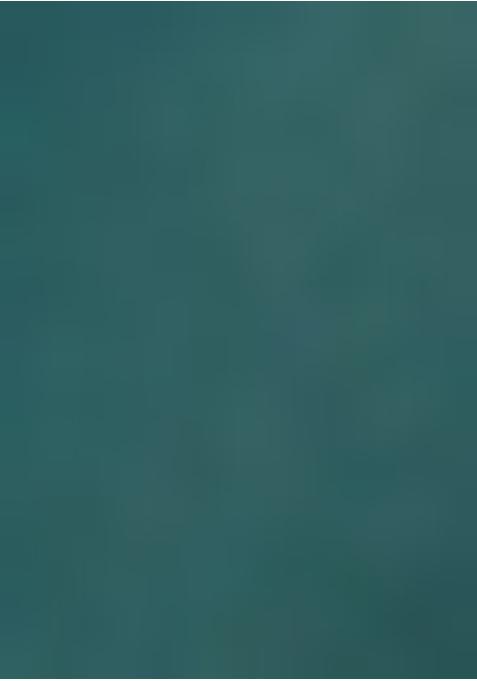 Teal Blue Printed Organza Lehenga Set