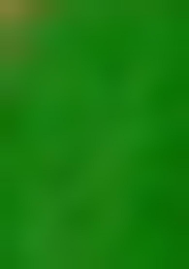 Parrot Green Weaving Organza Lehenga Set