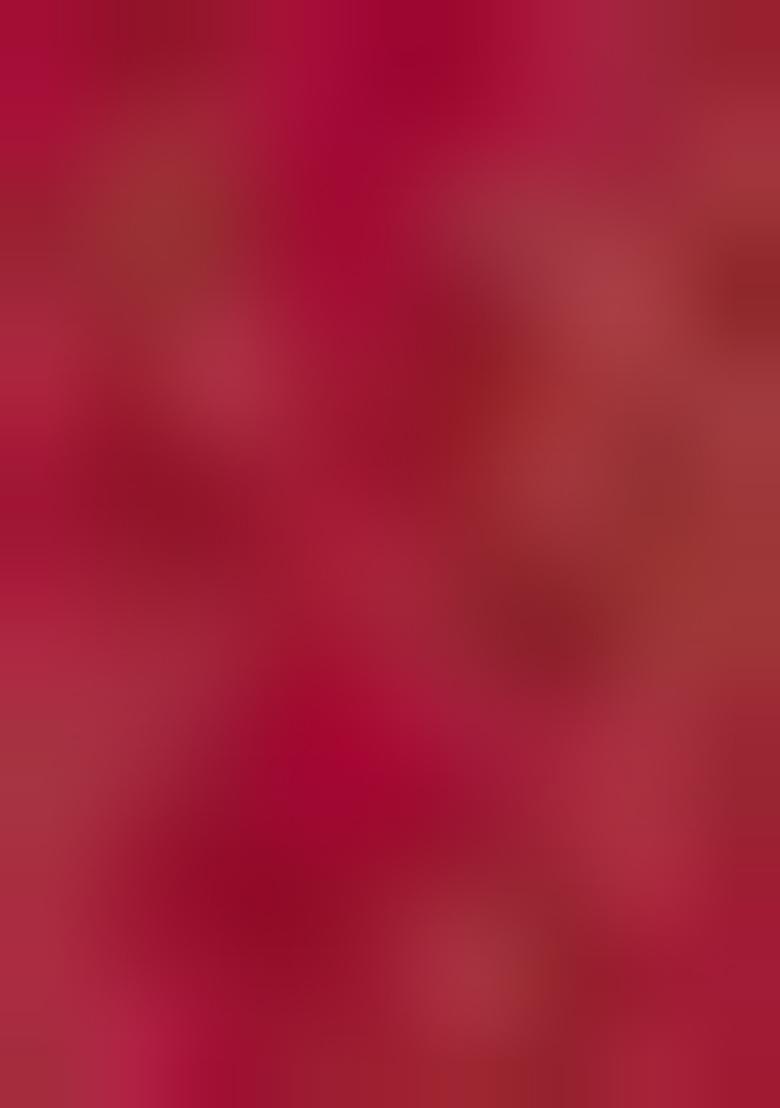 Maroon Brocade Lehenga Set