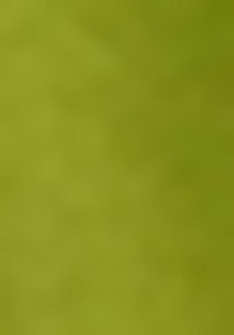 Olive Brocade Lehenga Set