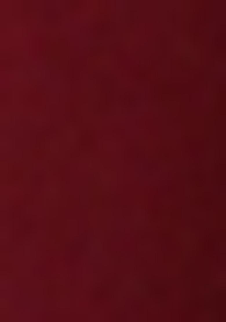 Brown Sequin Georgette Lehenga Set