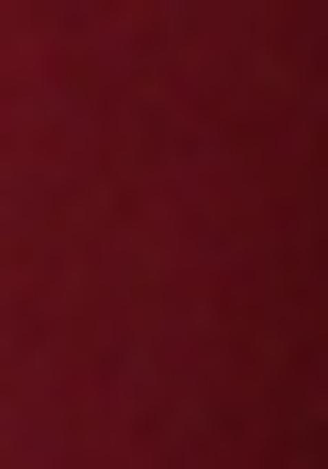 Brown Sequin Georgette Lehenga Set