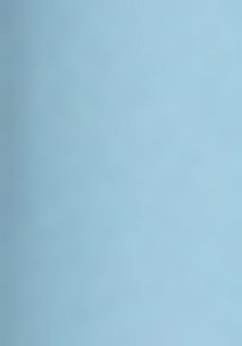 Sky Blue Printed Georgette Lehenga Set