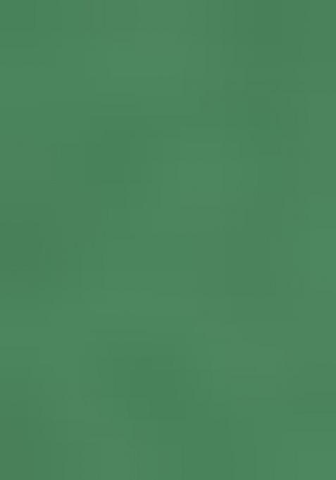 Sea Green Embroidered Blouse Georgette Lehenga Set