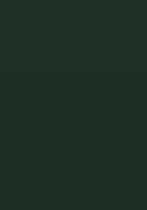 Green Printed Georgette Lehenga Set