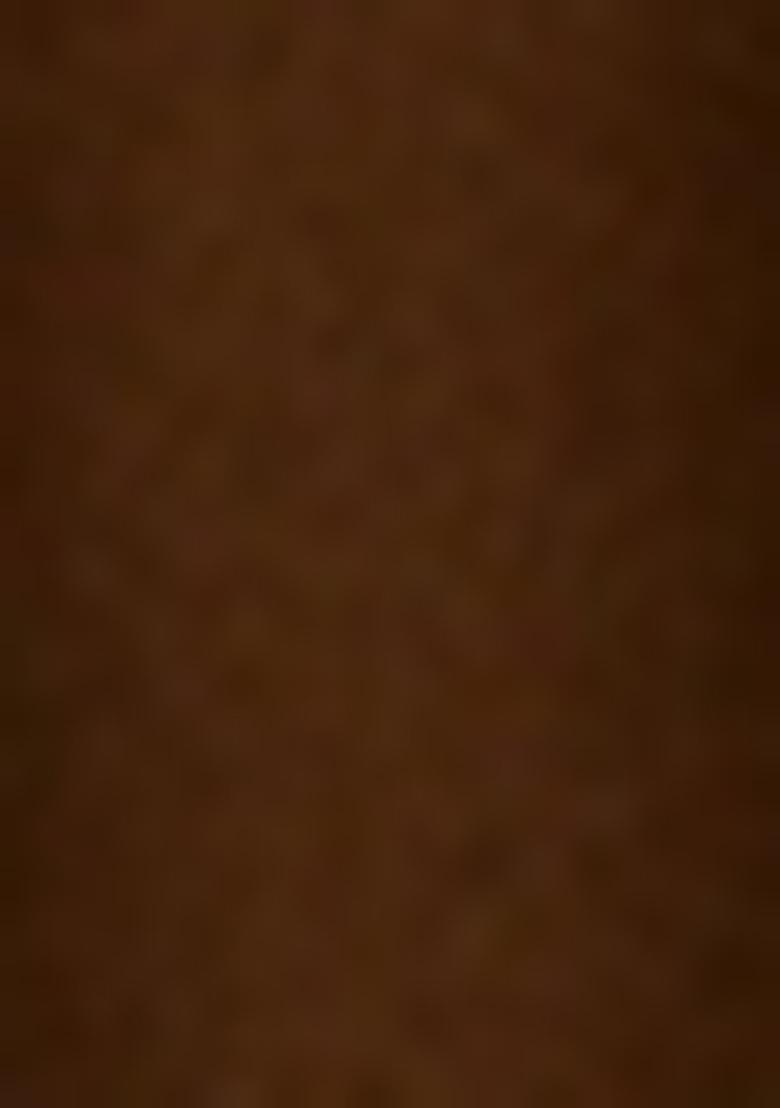 Brown Embroidered Blouse Tissue Lehenga Set