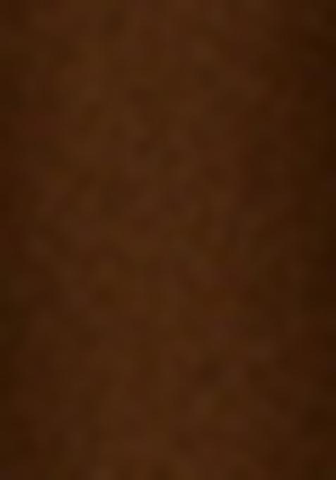 Brown Embroidered Blouse Tissue Lehenga Set