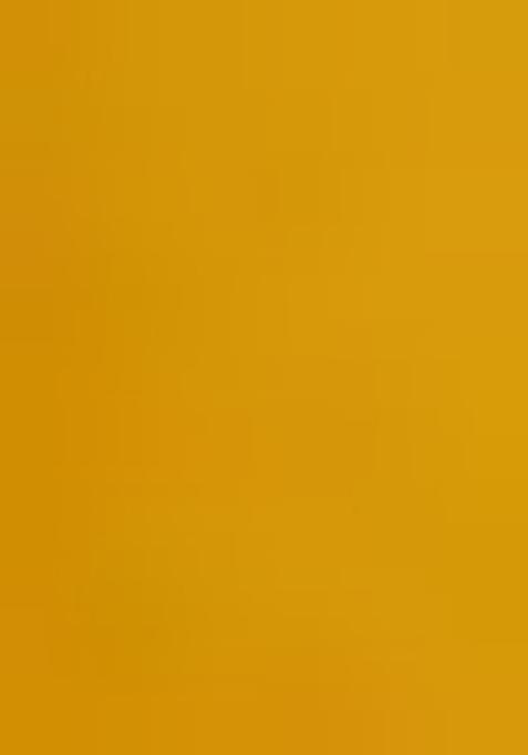 Yellow Printed Chiffon Lehenga Set