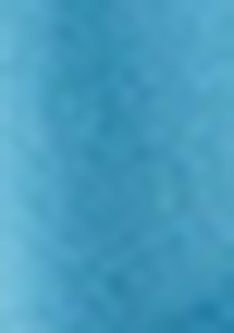 Blue Printed Organza Lehenga Set