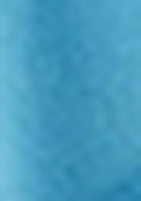 Blue Printed Organza Lehenga Set