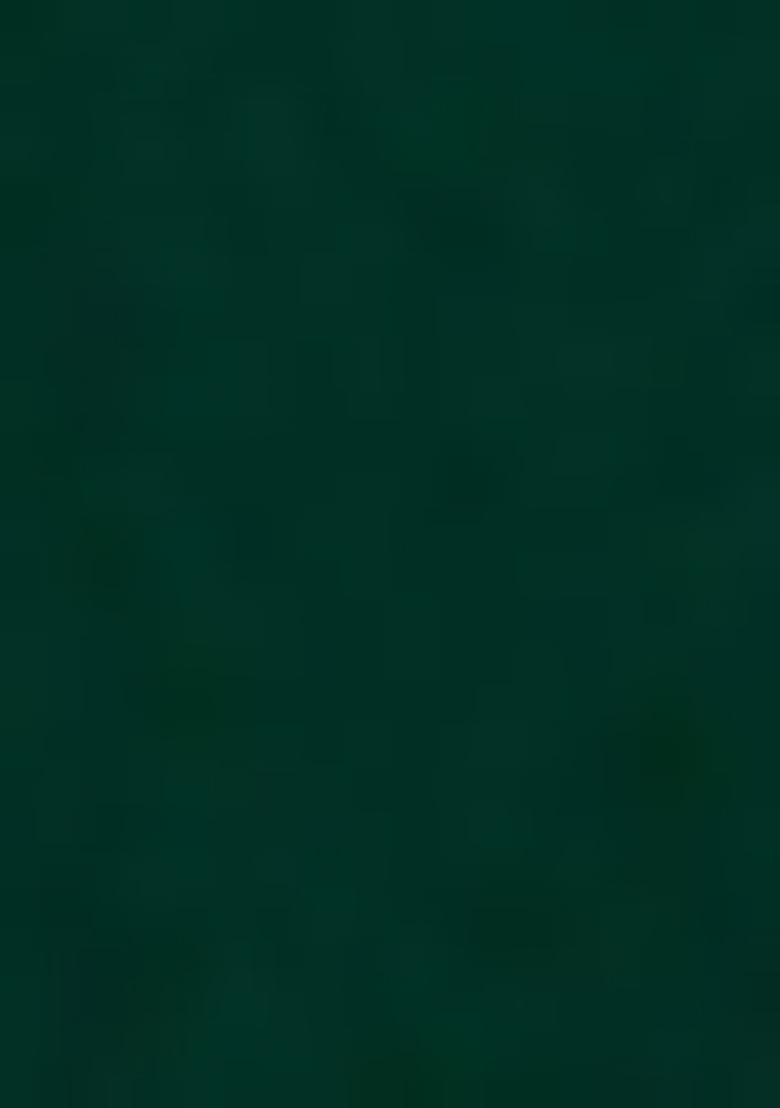 Green Embroidered Blouse Georgette Lehenga Set