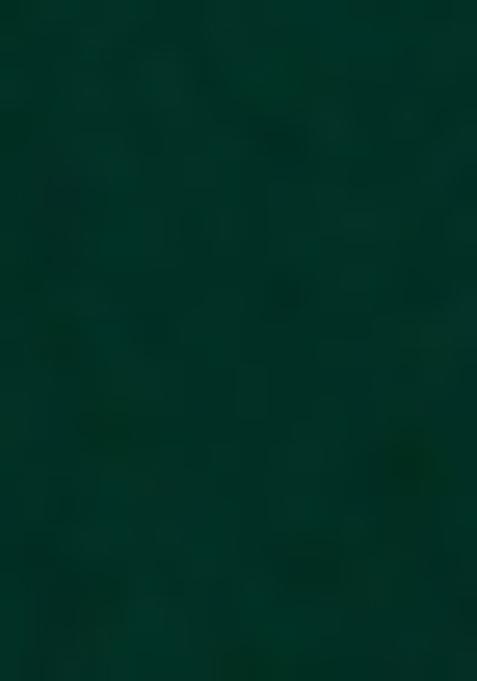 Green Embroidered Blouse Georgette Lehenga Set