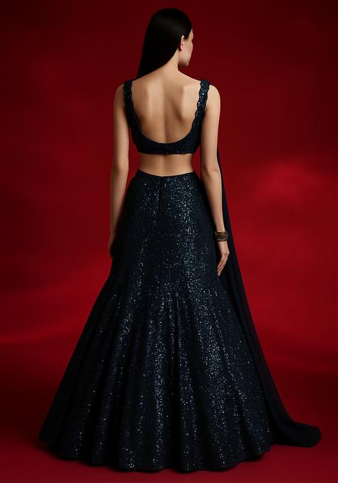 Blue Embellished Net Lehenga Set