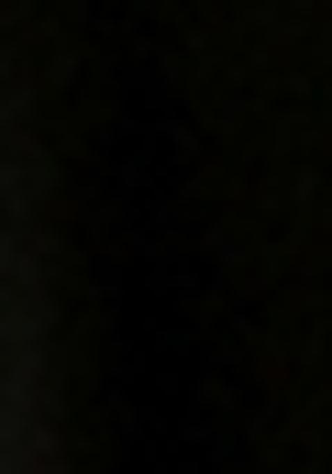 Black Embellished Blouse Georgette Lehenga Set