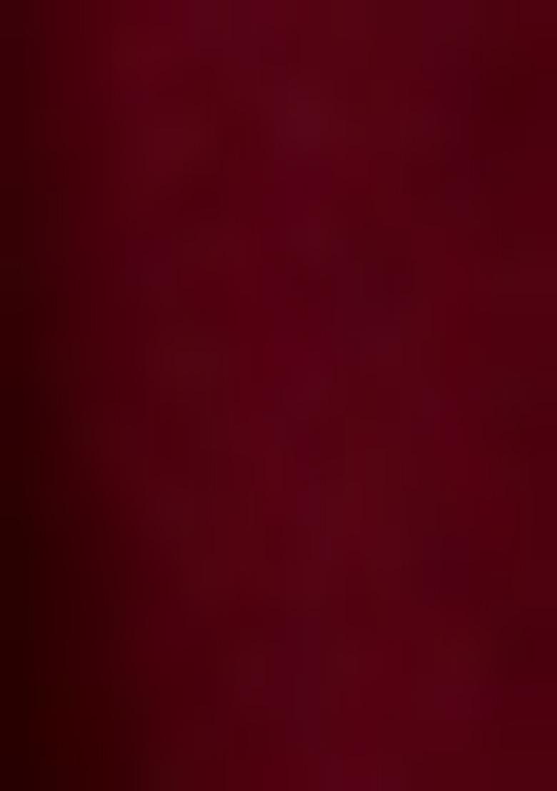 Wine Red Embroidered Net Lehenga Set