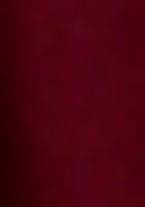 Wine Red Embroidered Net Lehenga Set