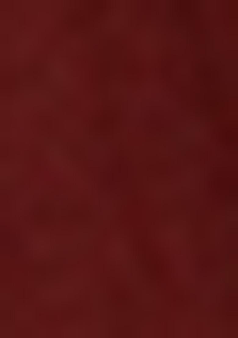 Maroon Embellished Blouse Georgette Lehenga Set