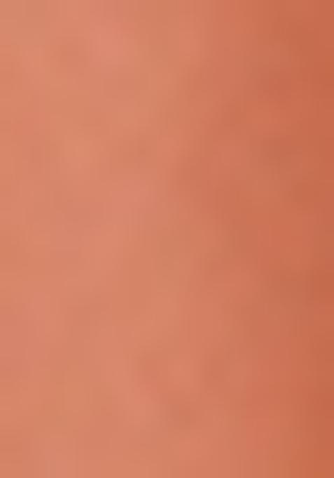 Peach Embellished Blouse Georgette Lehenga Set