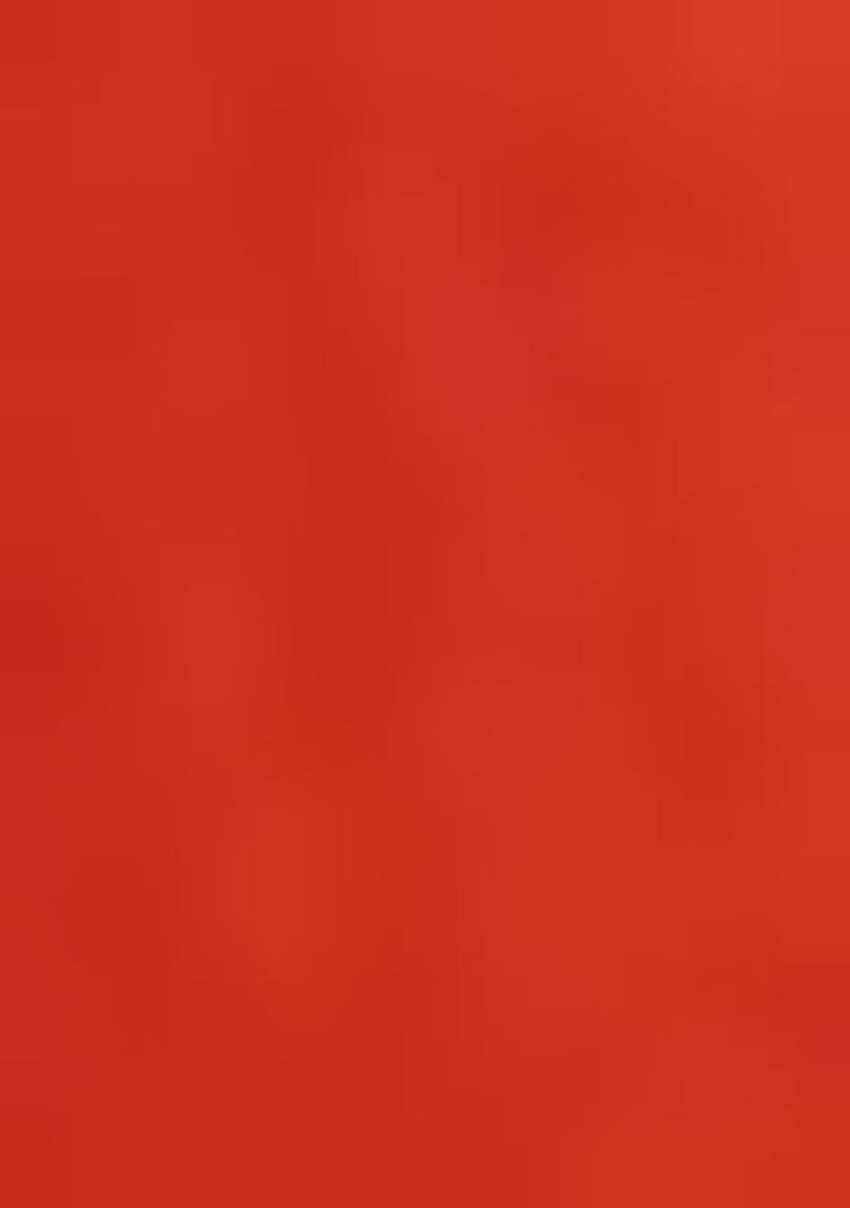 Orange Printed Tissue Shimmer Lehenga Set