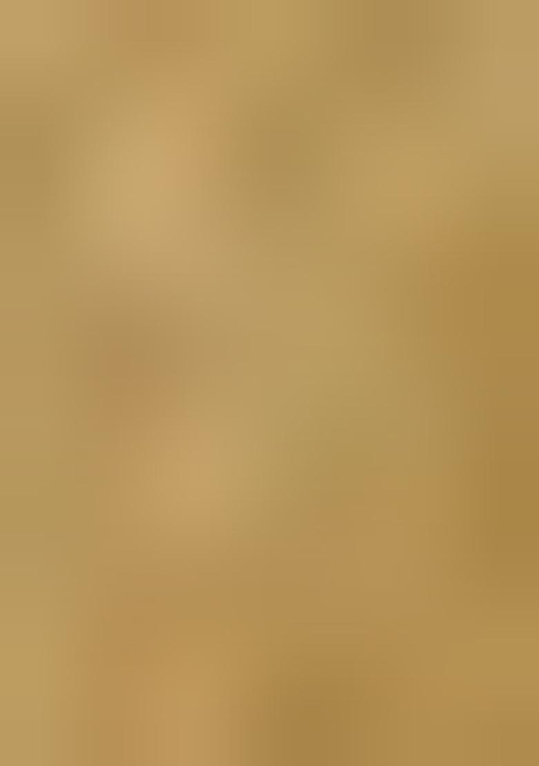 Beige Printed Tussar Lehenga Set