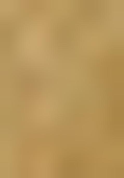 Beige Printed Tussar Lehenga Set