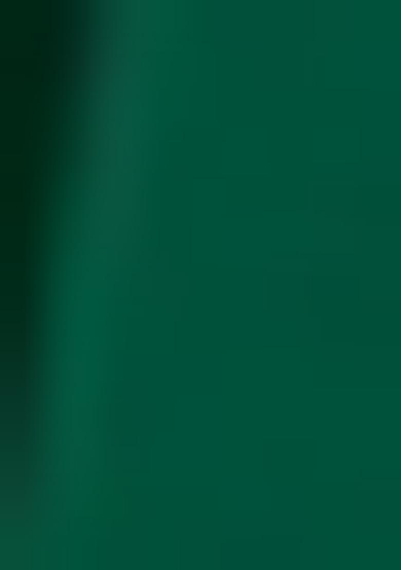 Green Sequin Net Lehenga Set