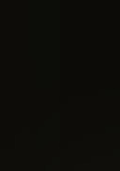 Black Sequin Georgette Fusion Set