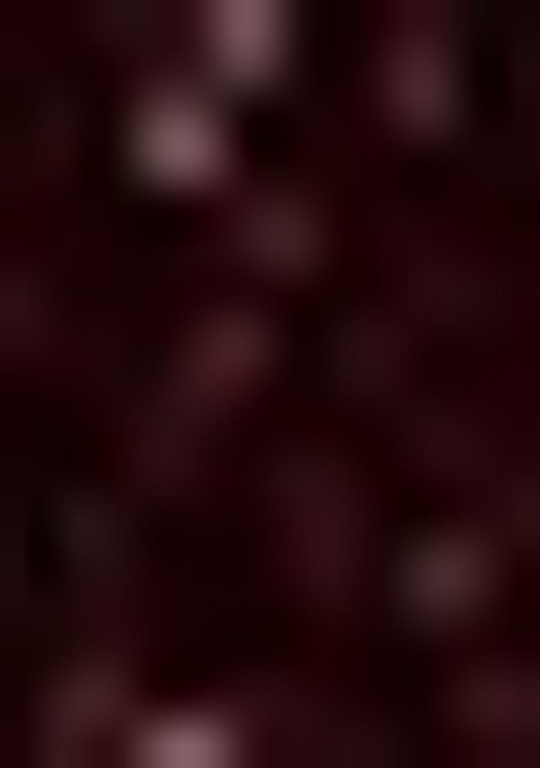 Wine Sequin Georgette Fusion Set