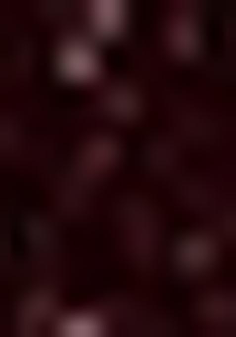 Wine Sequin Georgette Fusion Set