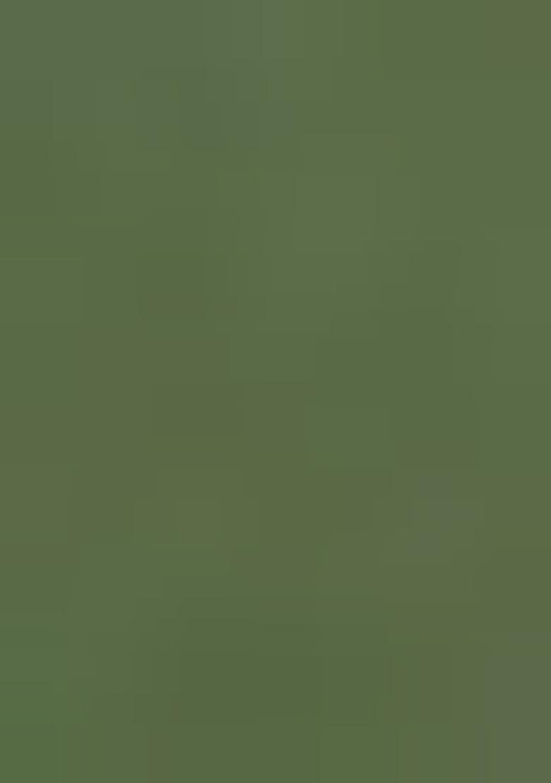 Sage Green Embroidered Net Lehenga Set