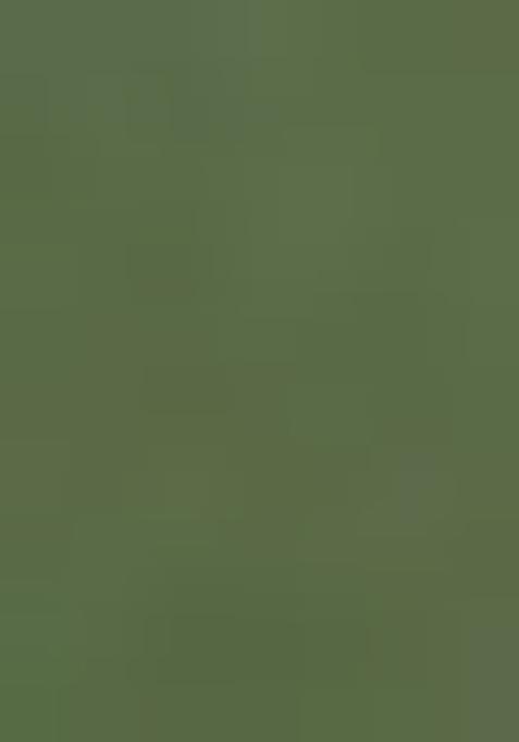 Sage Green Embroidered Net Lehenga Set