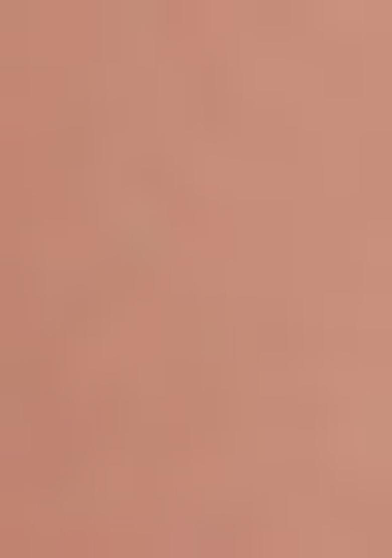 Peach Embroidered Net Lehenga Set