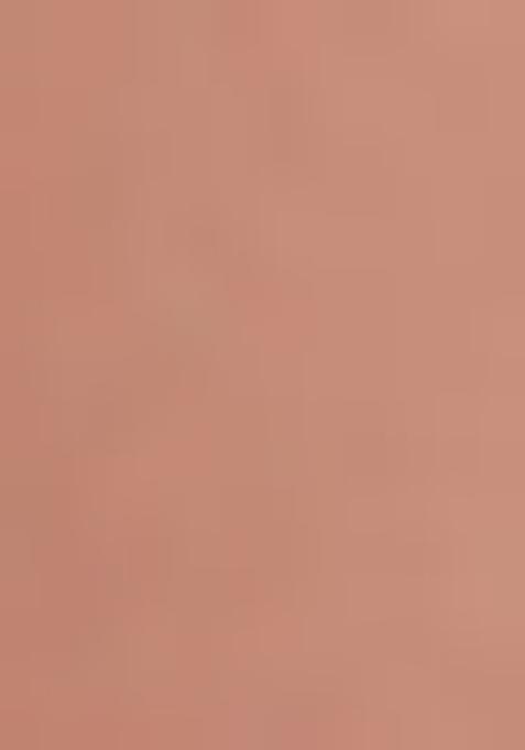 Peach Embroidered Net Lehenga Set