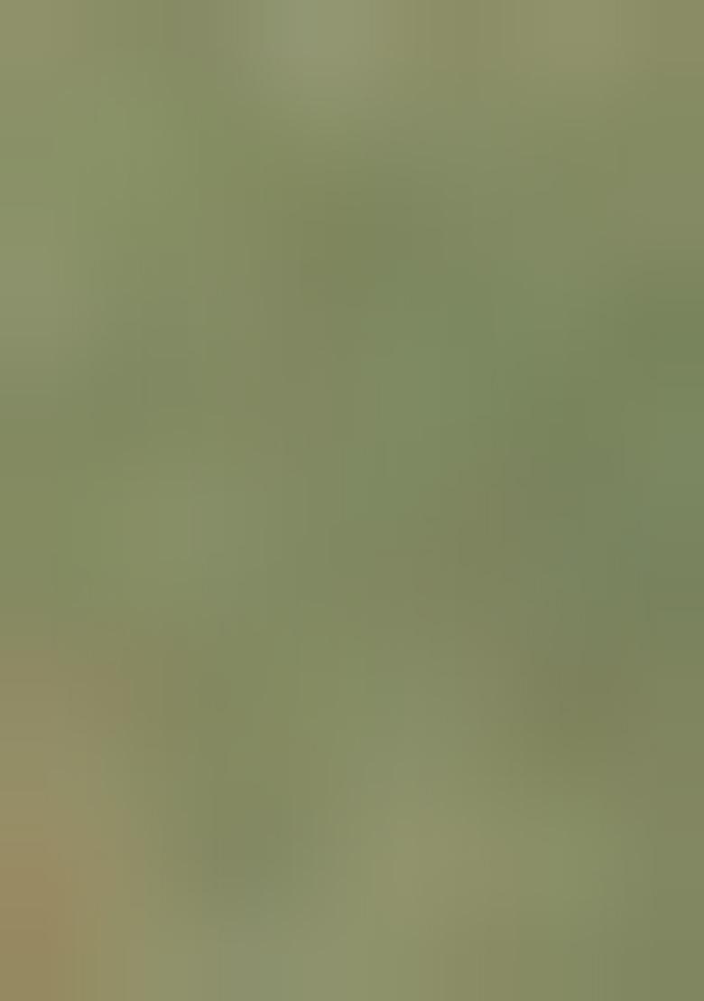 Pista Green Embroidered Net Lehenga Set