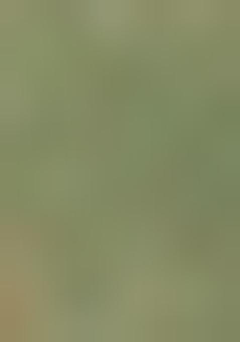 Pista Green Embroidered Net Lehenga Set