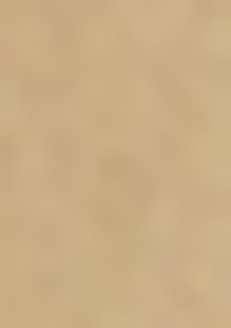 Gold Embellished Blouse Georgette Lehenga Set