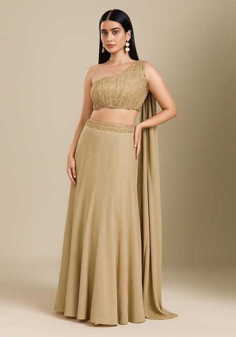 Gold Embellished Blouse Georgette Lehenga Set