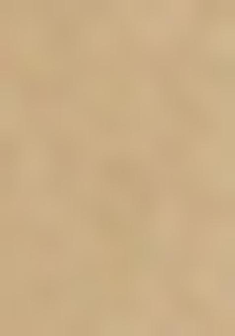 Gold Embellished Blouse Georgette Lehenga Set