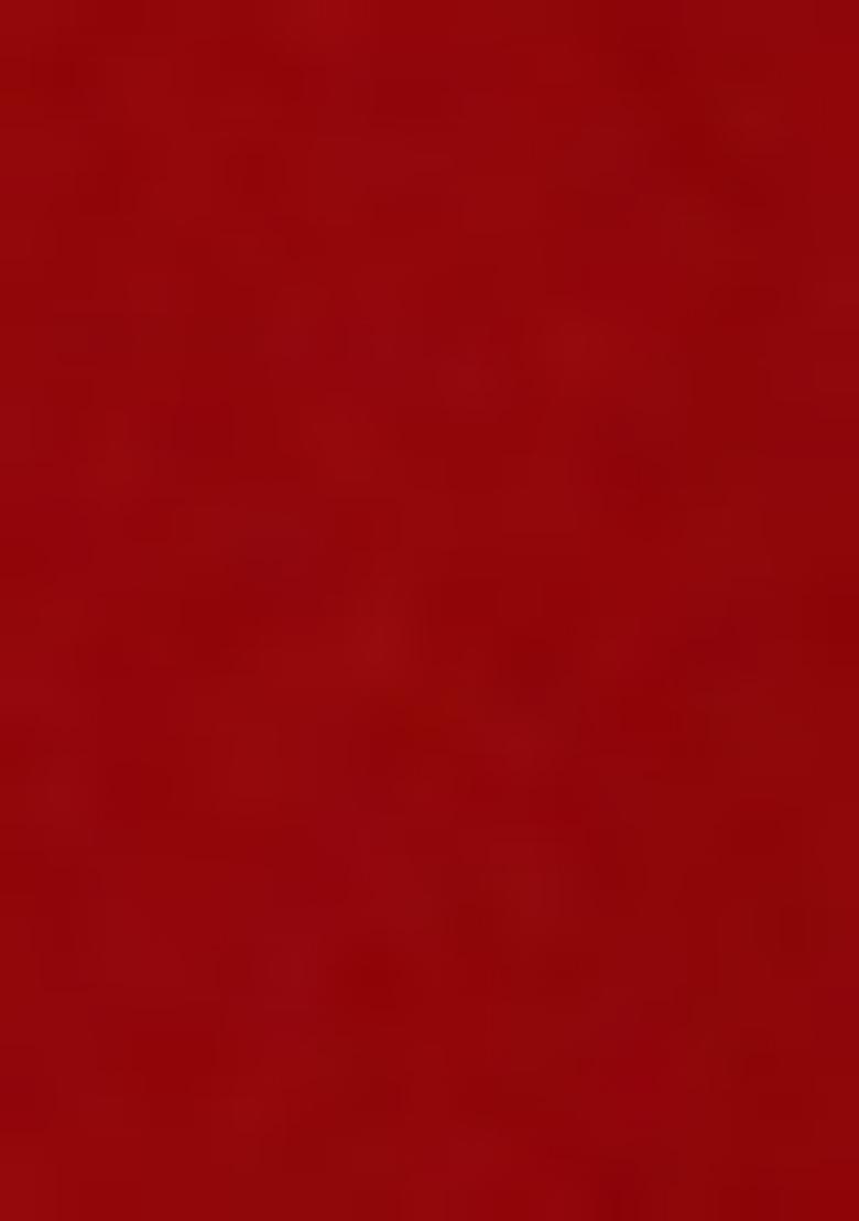 Red Embellished Blouse Georgette Lehenga Set