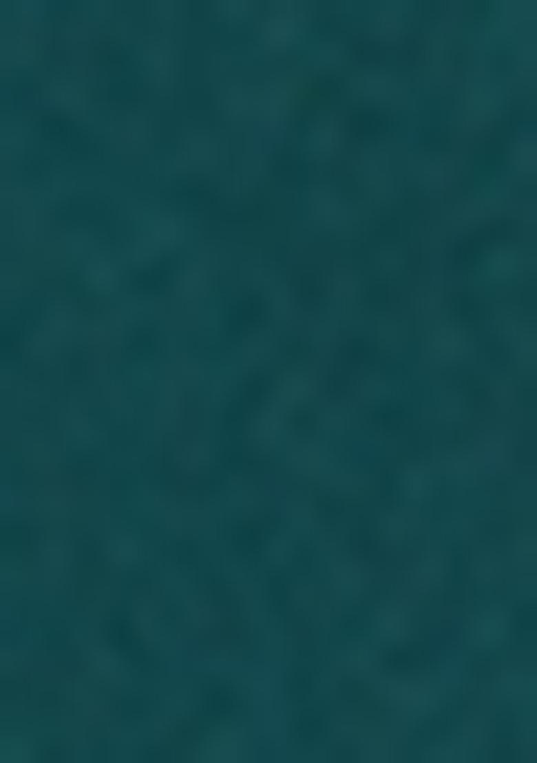 Rama Blue Embellished Blouse Georgette Lehenga Set