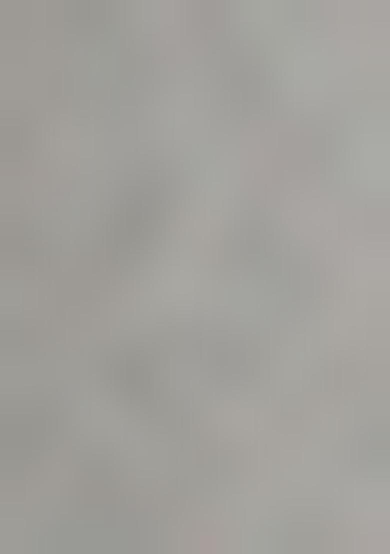 Silver Sequin Embellished Blouse Georgette Lehenga Set