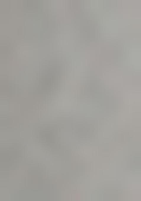 Silver Sequin Embellished Blouse Georgette Lehenga Set