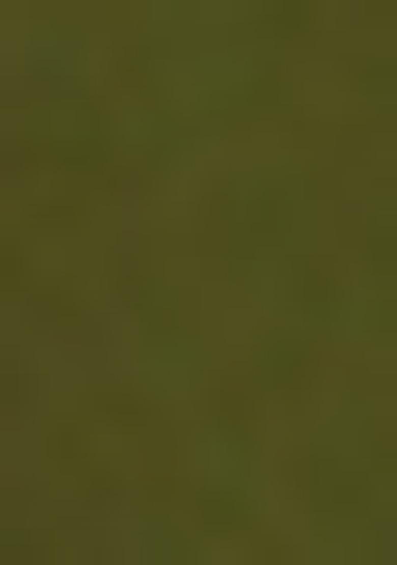 Green Sequin Embellished Blouse Georgette Lehenga Set