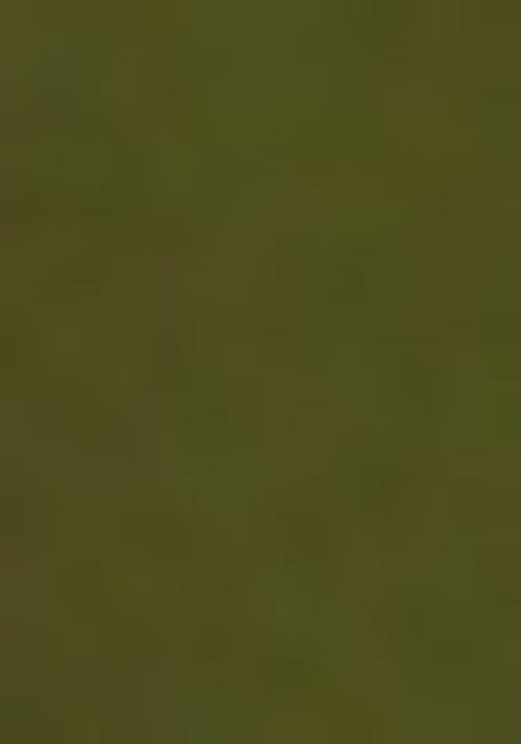 Green Sequin Embellished Blouse Georgette Lehenga Set